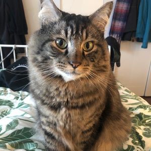 Meet your Posher, Heidi